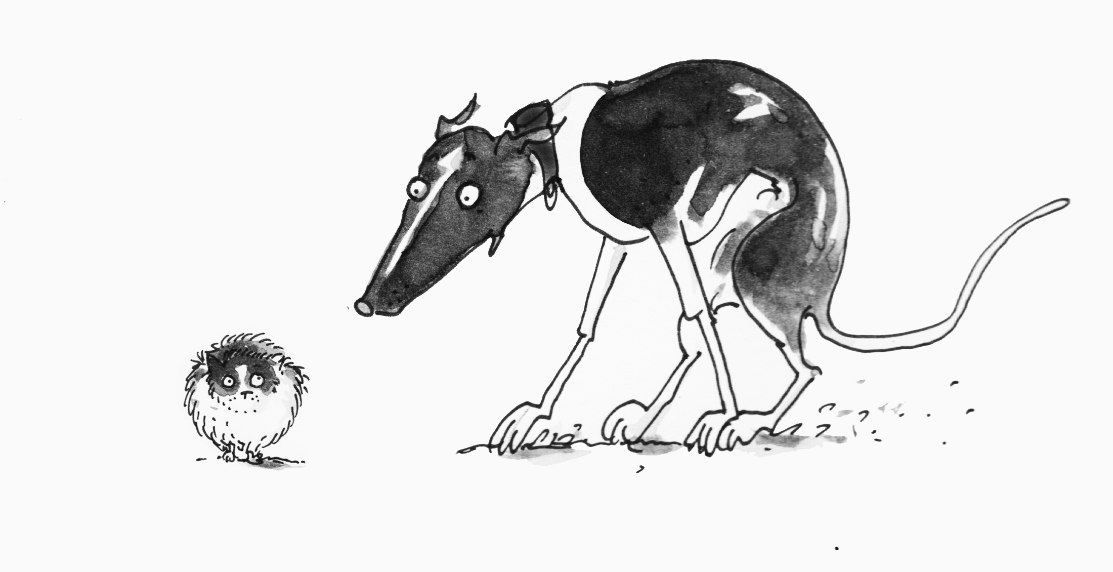 edwinundderzwergspitz-kopie