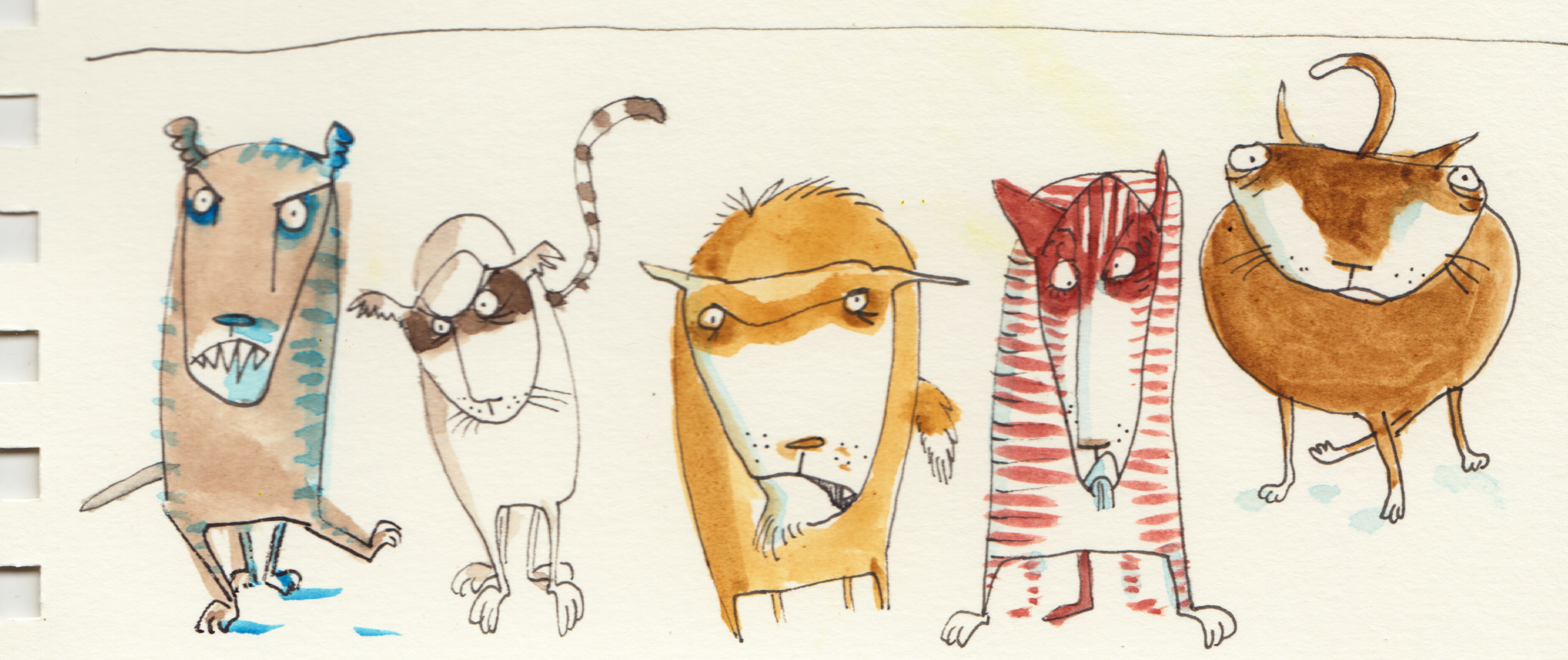 katzenlowenhundebaren