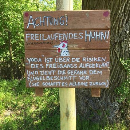 2016-05-05_1462446872