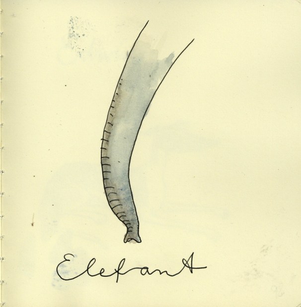 Elefant98
