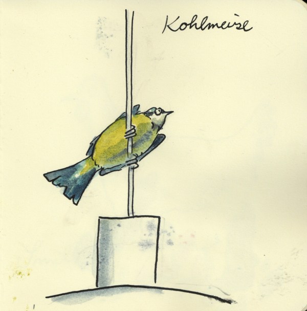 Kohlmeise87