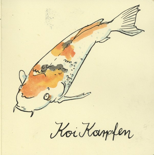 Koikarpfen100