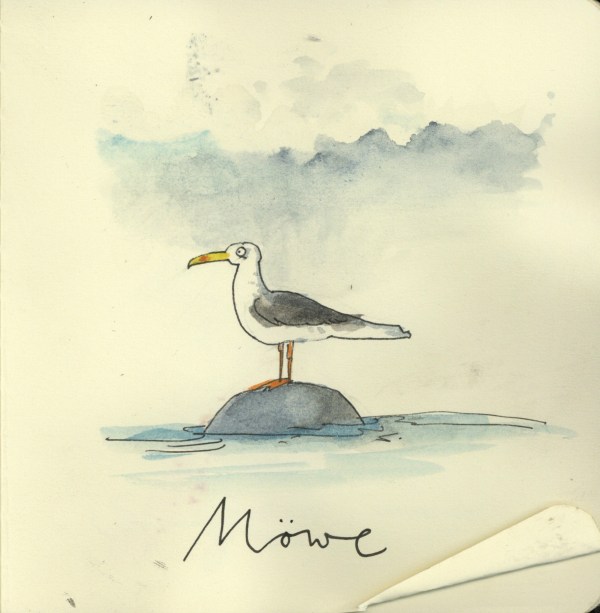 Möwe95