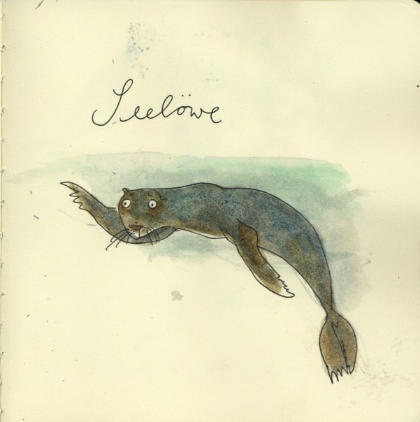Seelöwe91