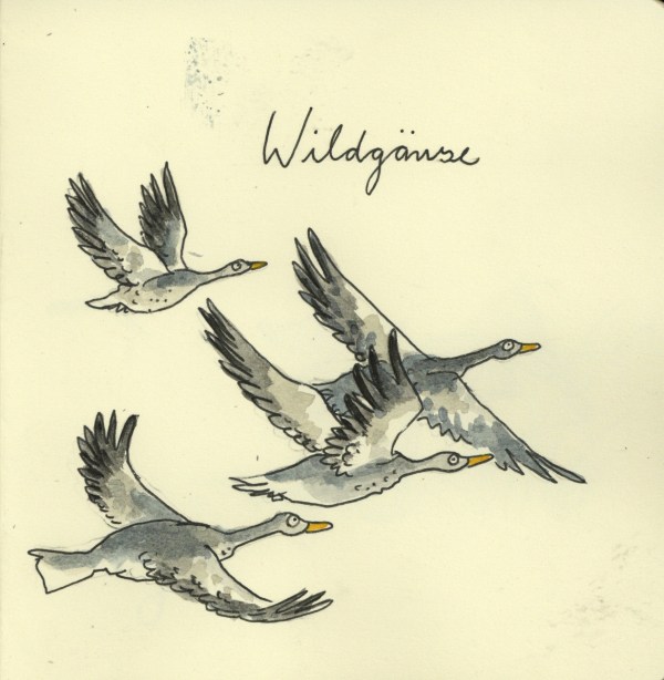 Wildgänse94