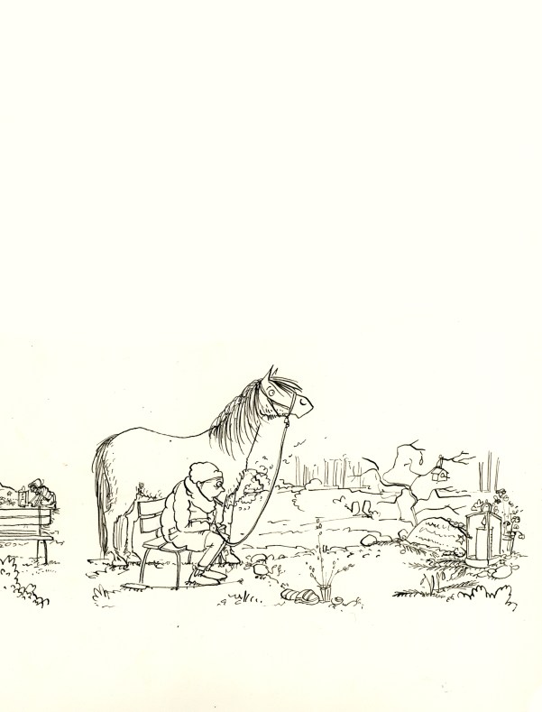 sneakpeakkippenundpferde