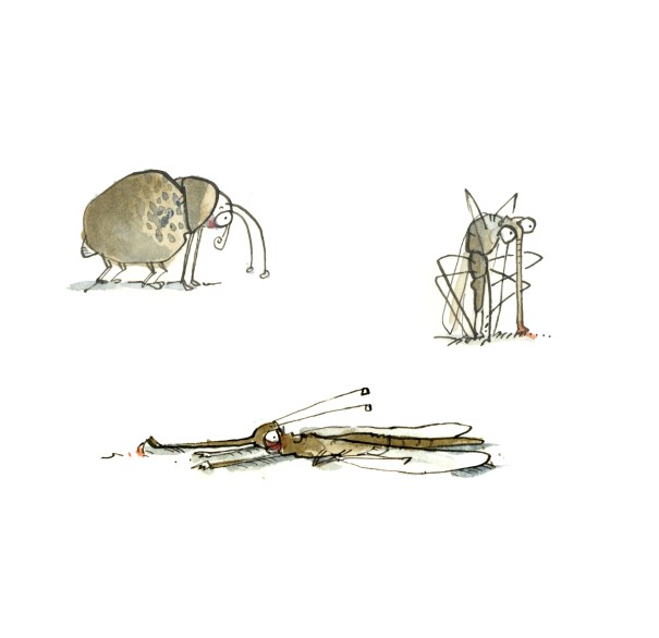 insects1